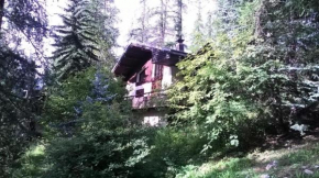 Résidence Chal. Les Chandelles - CHALET Les Chandelles 11 Pers. PIED PISTES MAE-6521